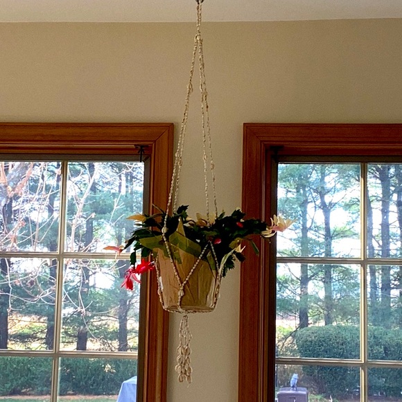 Vintage handcrafted seashell and cowrie shell 38” plant hanger - Picture 3 of 6